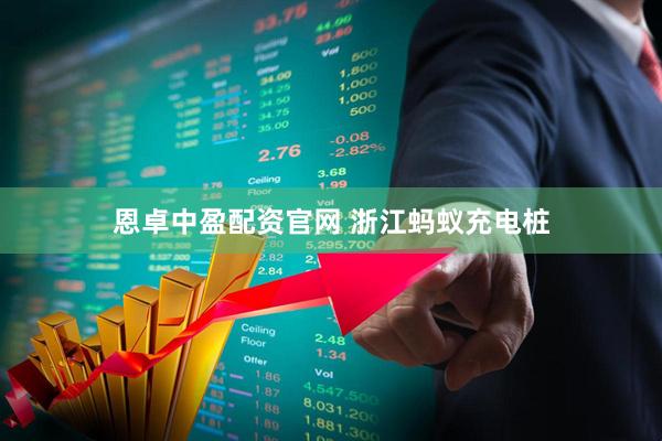 恩卓中盈配资官网 浙江蚂蚁充电桩